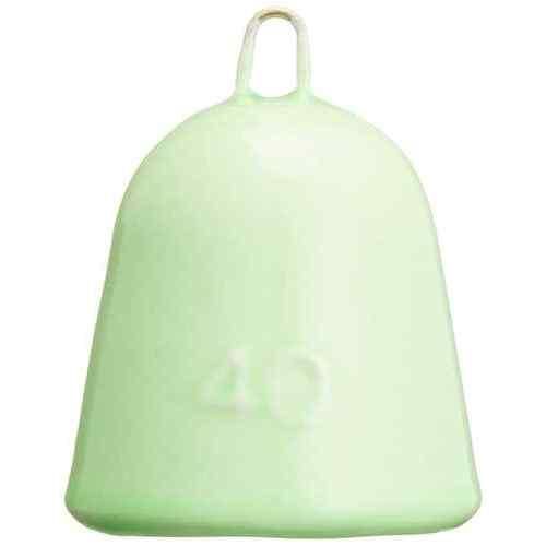 FUJIWARA ե 顼󥫡 ĥꥬ 40 