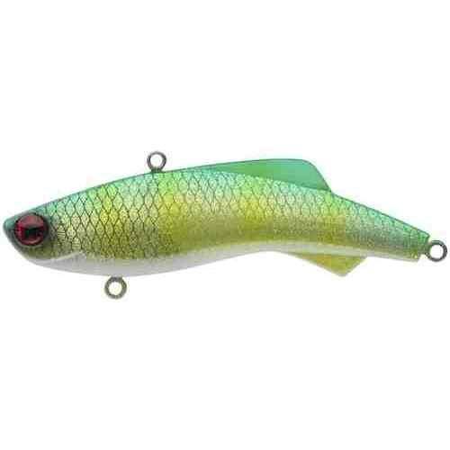 MADNESS ޥɥͥ ƥХ73 SY#15 ۶ʴ饤ॴ