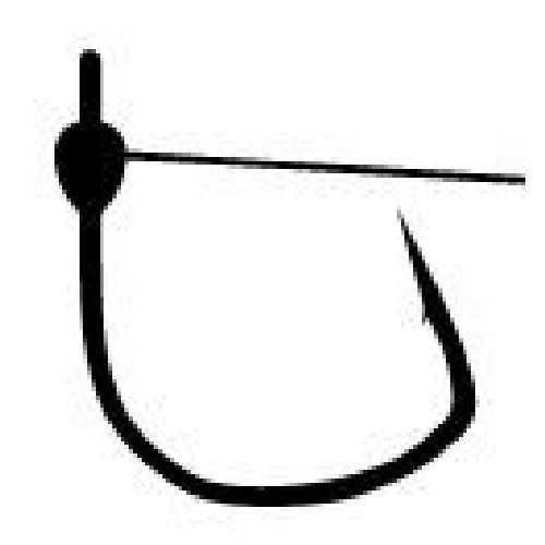 <img class='new_mark_img1' src='https://img.shop-pro.jp/img/new/icons1.gif' style='border:none;display:inline;margin:0px;padding:0px;width:auto;' />ZAPPU å ץƥեå  #2