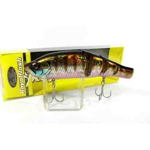 EVERGREEN С꡼ եå Jr. #625 ֥롼