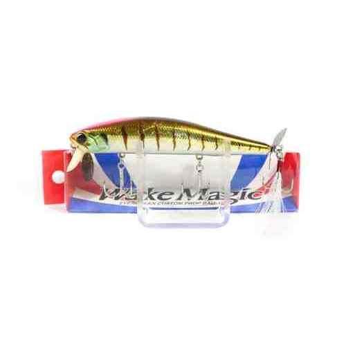 EVERGREEN С꡼ ޥå#N50 ٥ӡN