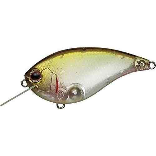 EVERGREEN С꡼ եåȥե #238 եå參