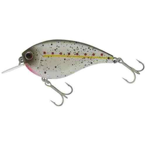 EVERGREEN С꡼ եåȥե #272 󥰥å