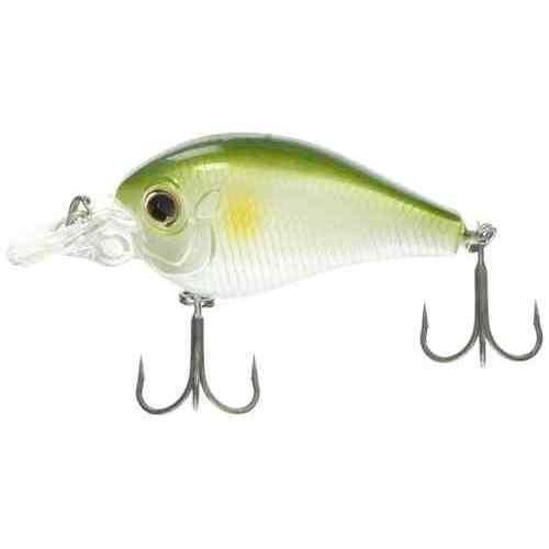 EVERGREEN С꡼ ԥå ֥ #27 