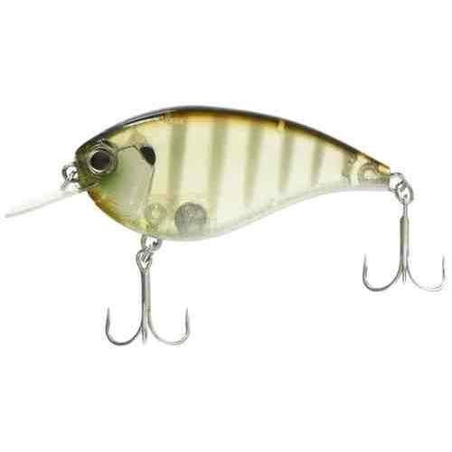 EVERGREEN С꡼ եåȥե #246 ե