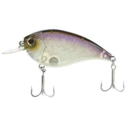 EVERGREEN С꡼ եåȥե #383 ͥ參