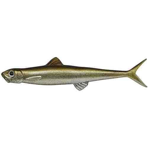 <img class='new_mark_img1' src='https://img.shop-pro.jp/img/new/icons1.gif' style='border:none;display:inline;margin:0px;padding:0px;width:auto;' />EVERGREEN С꡼ 饹ȥ95F #57 ȥåå