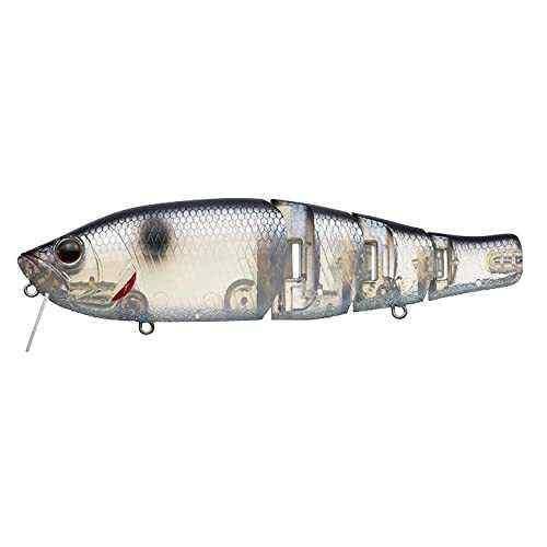 EVERGREEN С꡼ եå Jr. #379 եå奷Сå