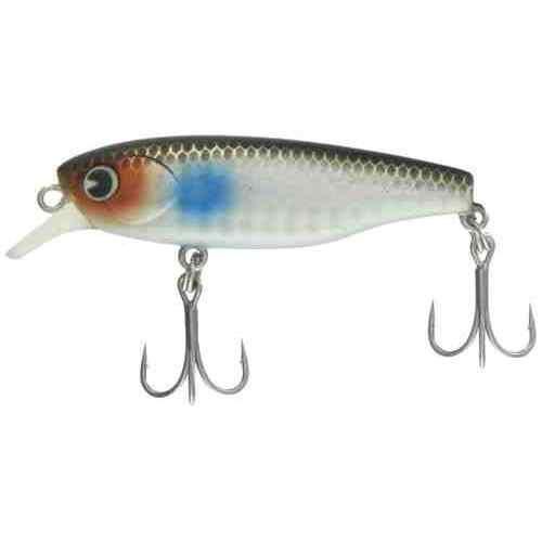 ima ॺǥ K- 58ڥ #KT58-008 ܥޥåƥ