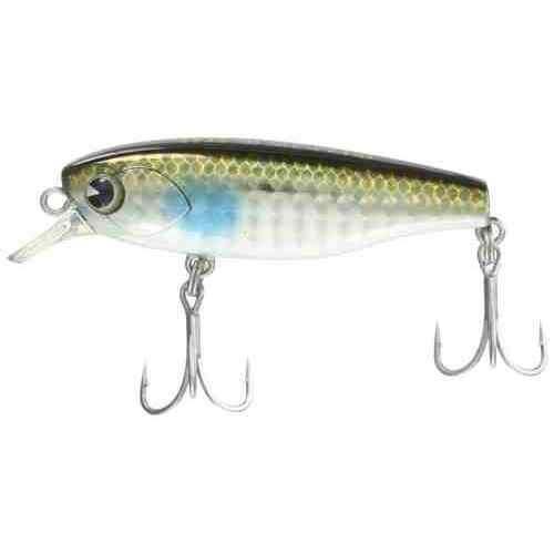 ima ॺǥ K- 58ڥ #KT58-010 ܥ