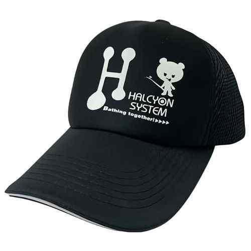 HALCYON SYSTEM ϥ륷󥷥ƥ ꥫ󥭥å ֥å졼