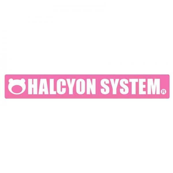 <img class='new_mark_img1' src='https://img.shop-pro.jp/img/new/icons1.gif' style='border:none;display:inline;margin:0px;padding:0px;width:auto;' />HALCYON SYSTEM ϥ륷󥷥ƥ ϥ륷ƥå PK