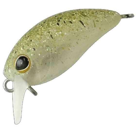 <img class='new_mark_img1' src='https://img.shop-pro.jp/img/new/icons1.gif' style='border:none;display:inline;margin:0px;padding:0px;width:auto;' />TIMON ƥ ӥѥ˥ SR ܥ쥰