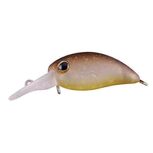 <img class='new_mark_img1' src='https://img.shop-pro.jp/img/new/icons1.gif' style='border:none;display:inline;margin:0px;padding:0px;width:auto;' />TIMON ƥ ӥѥ˥ SR ƥå奰II