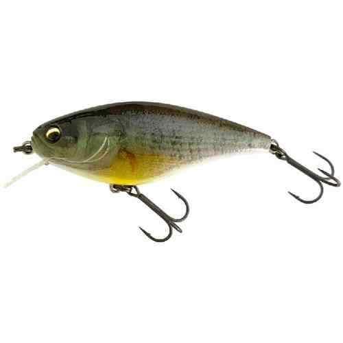 IMAKATSU ޥ å 3Dꥢꥺ #749 3Dȥ