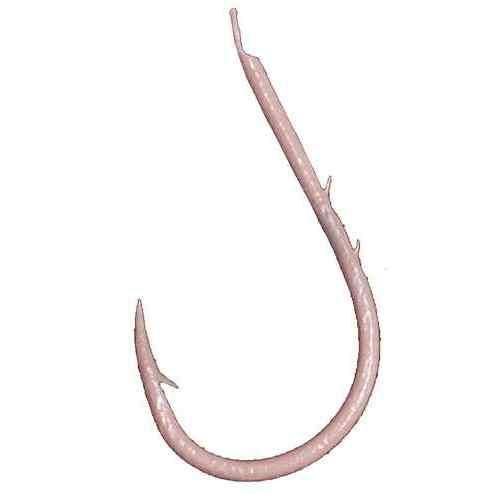 <img class='new_mark_img1' src='https://img.shop-pro.jp/img/new/icons1.gif' style='border:none;display:inline;margin:0px;padding:0px;width:auto;' />SASAME  WK-07 Wե() 1