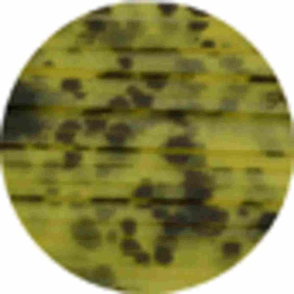 <img class='new_mark_img1' src='https://img.shop-pro.jp/img/new/icons1.gif' style='border:none;display:inline;margin:0px;padding:0px;width:auto;' />Reins 쥤 HF NE715 饤ȥ