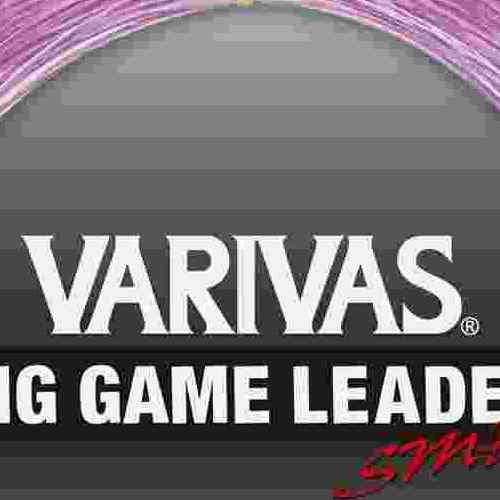 VARIVAS �Х�Х� �ӥ�