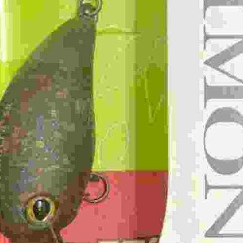 <img class='new_mark_img1' src='https://img.shop-pro.jp/img/new/icons1.gif' style='border:none;display:inline;margin:0px;padding:0px;width:auto;' />TIMON ƥ ѥ˥顭SR åȥڥå