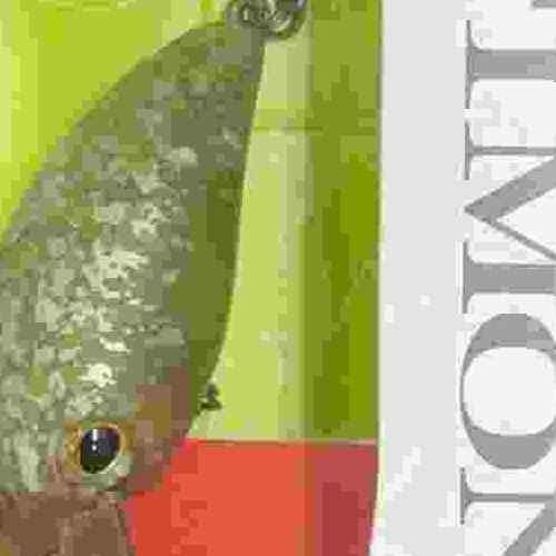 <img class='new_mark_img1' src='https://img.shop-pro.jp/img/new/icons1.gif' style='border:none;display:inline;margin:0px;padding:0px;width:auto;' />TIMON ƥ ѥ˥顭SR ɥڥѥ