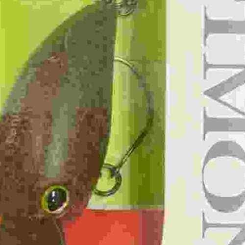 <img class='new_mark_img1' src='https://img.shop-pro.jp/img/new/icons1.gif' style='border:none;display:inline;margin:0px;padding:0px;width:auto;' />TIMON ƥ ѥ˥顭MR å֥饦