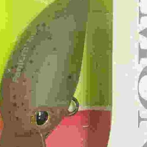 <img class='new_mark_img1' src='https://img.shop-pro.jp/img/new/icons1.gif' style='border:none;display:inline;margin:0px;padding:0px;width:auto;' />TIMON ƥ ѥ˥顭MR ɥѥץ