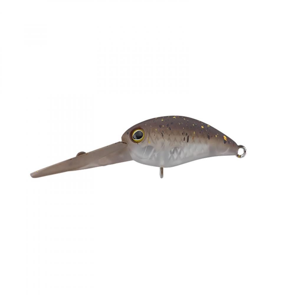 TIMON �ƥ���� �ѥ˥���