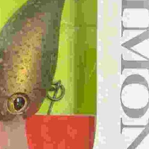 <img class='new_mark_img1' src='https://img.shop-pro.jp/img/new/icons1.gif' style='border:none;display:inline;margin:0px;padding:0px;width:auto;' />TIMON ƥ ѥ˥顭MR 䥸ܥ