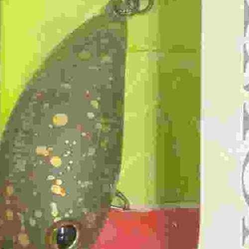 <img class='new_mark_img1' src='https://img.shop-pro.jp/img/new/icons1.gif' style='border:none;display:inline;margin:0px;padding:0px;width:auto;' />TIMON ƥ ѥ˥顭MR Ueѥȥڥå