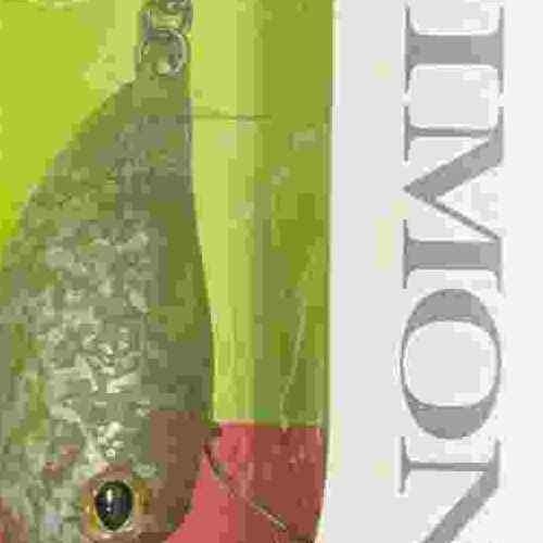 <img class='new_mark_img1' src='https://img.shop-pro.jp/img/new/icons1.gif' style='border:none;display:inline;margin:0px;padding:0px;width:auto;' />TIMON ƥ ѥ˥顭MR ɥڥѥ