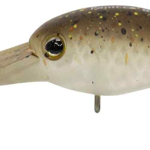 <img class='new_mark_img1' src='https://img.shop-pro.jp/img/new/icons1.gif' style='border:none;display:inline;margin:0px;padding:0px;width:auto;' />TIMON ƥ ѥ˥顭DR-HF ɥڥ֥饦