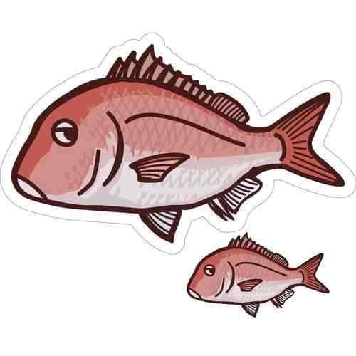 <img class='new_mark_img1' src='https://img.shop-pro.jp/img/new/icons1.gif' style='border:none;display:inline;margin:0px;padding:0px;width:auto;' />HISAO DESIGN Ҥǥ ޥƥå