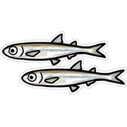 <img class='new_mark_img1' src='https://img.shop-pro.jp/img/new/icons1.gif' style='border:none;display:inline;margin:0px;padding:0px;width:auto;' />HISAO DESIGN Ҥǥ 參ƥå