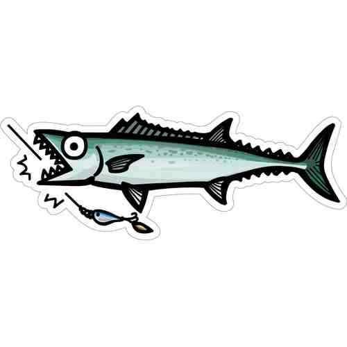 HISAO DESIGN �Ҥ�