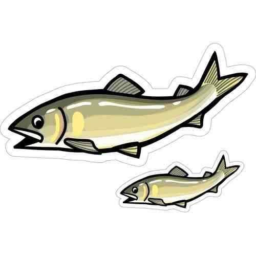 <img class='new_mark_img1' src='https://img.shop-pro.jp/img/new/icons1.gif' style='border:none;display:inline;margin:0px;padding:0px;width:auto;' />HISAO DESIGN Ҥǥ 楹ƥå