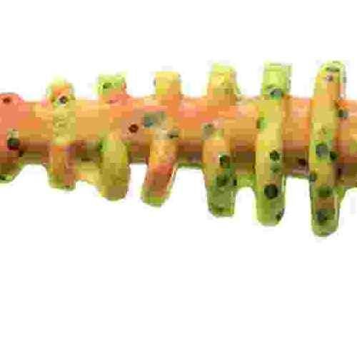 <img class='new_mark_img1' src='https://img.shop-pro.jp/img/new/icons1.gif' style='border:none;display:inline;margin:0px;padding:0px;width:auto;' />BERKLEY С쥤 !SWѥ륹3.2 G2SQPW3.2-CGBFO 㡼ȥ塼꡼֥å եȥ