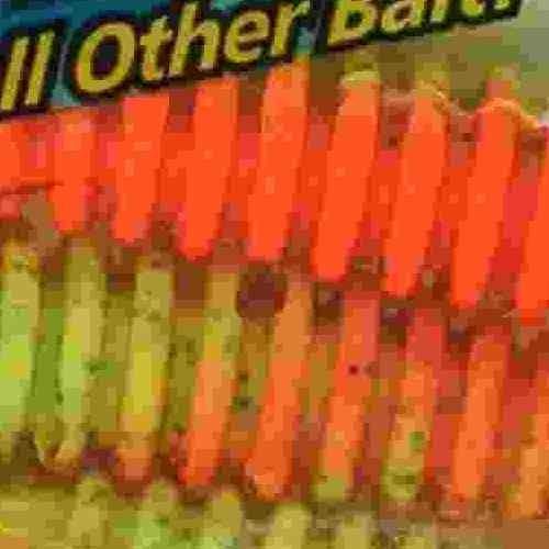 <img class='new_mark_img1' src='https://img.shop-pro.jp/img/new/icons1.gif' style='border:none;display:inline;margin:0px;padding:0px;width:auto;' />BERKLEY С쥤 !SW㥹ȥϥ3.2 G2SQAJH3.2-CGBFO 㡼ȥ塼꡼֥åեȥ