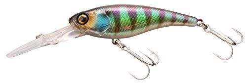 JACKALL å 륷å 62DR SP POL