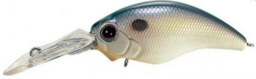 EVERGREEN С꡼ ⡼ɥ 磻ɥϥ #62 ʥ륷å