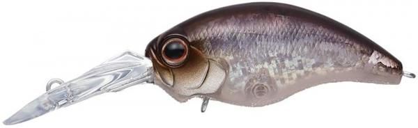 EVERGREEN С꡼ ⡼ɥ 磻ɥϥ #383 ͥ參