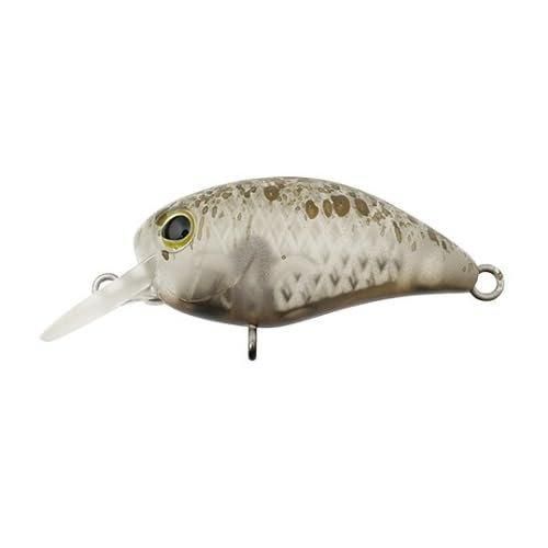 <img class='new_mark_img1' src='https://img.shop-pro.jp/img/new/icons1.gif' style='border:none;display:inline;margin:0px;padding:0px;width:auto;' />TIMON ƥ ѥ˥顭DRȥ ⥪꡼