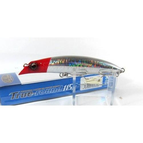 EVERGREEN ���С�����