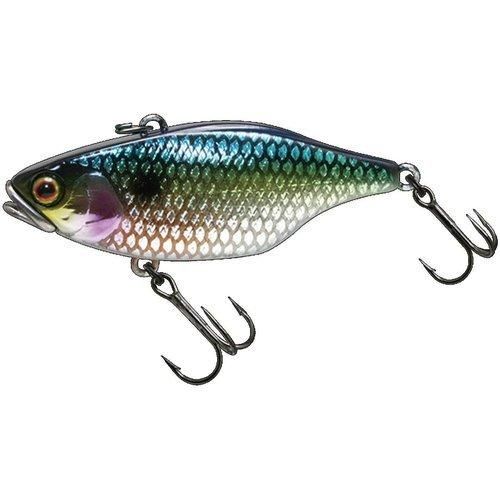 JACKALL å TN60 ե륿󥰥ƥ ۥ SSå