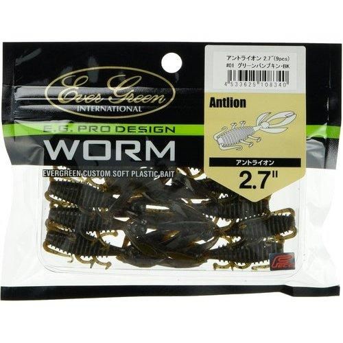 EVERGREEN ���С�����