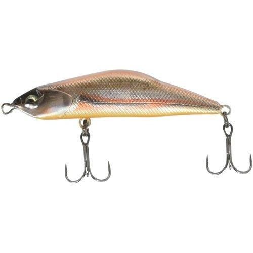 <img class='new_mark_img1' src='https://img.shop-pro.jp/img/new/icons1.gif' style='border:none;display:inline;margin:0px;padding:0px;width:auto;' />Ivyline �����ӡ��饤�� T-Gravits 50S TR05