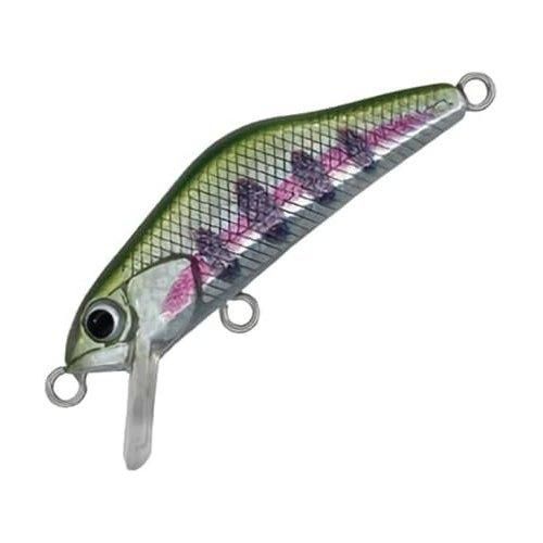 <img class='new_mark_img1' src='https://img.shop-pro.jp/img/new/icons1.gif' style='border:none;display:inline;margin:0px;padding:0px;width:auto;' />Ivyline �����ӡ��饤�� T-Gravits 36S T17 ��ޥ�