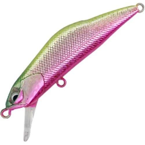 <img class='new_mark_img1' src='https://img.shop-pro.jp/img/new/icons1.gif' style='border:none;display:inline;margin:0px;padding:0px;width:auto;' />Ivyline �����ӡ��饤�� T-Gravits 50S ��񥫥顼 ��ɱ