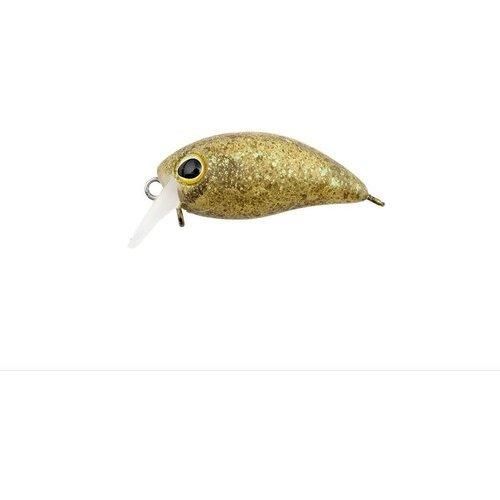 TIMON �ƥ���� ���ӥѥ�