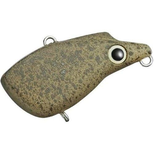 EVERGREEN ���С�����