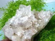 800gĶνŸ徽β͡ҥޥԥ͡ҥޡ뻺ŷ徽GaneshHimalnaturalquartz